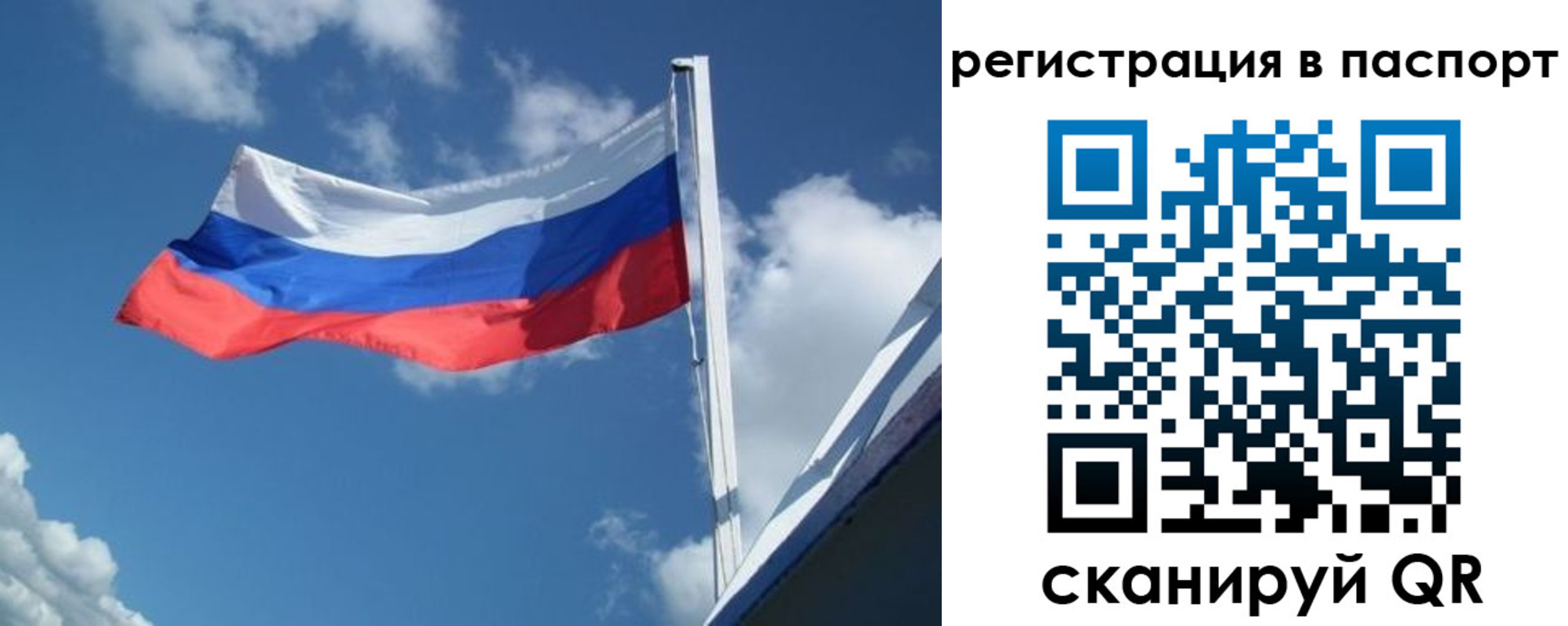 временная регистрация гарантия в Александровске