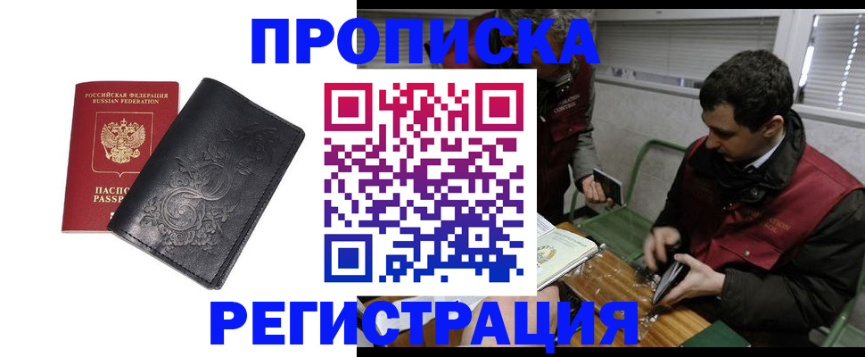прописка поиск в Александровске